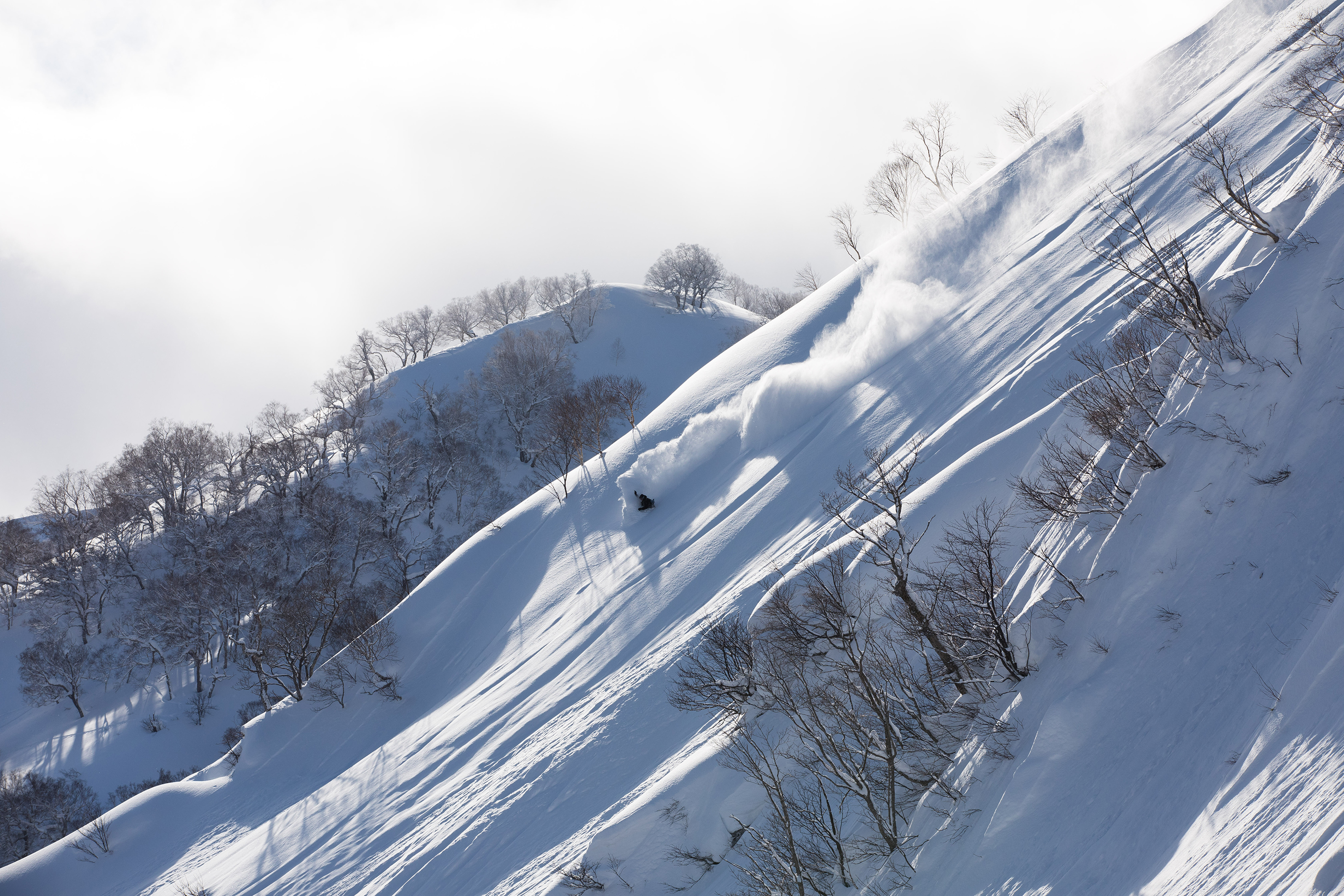 Niseko