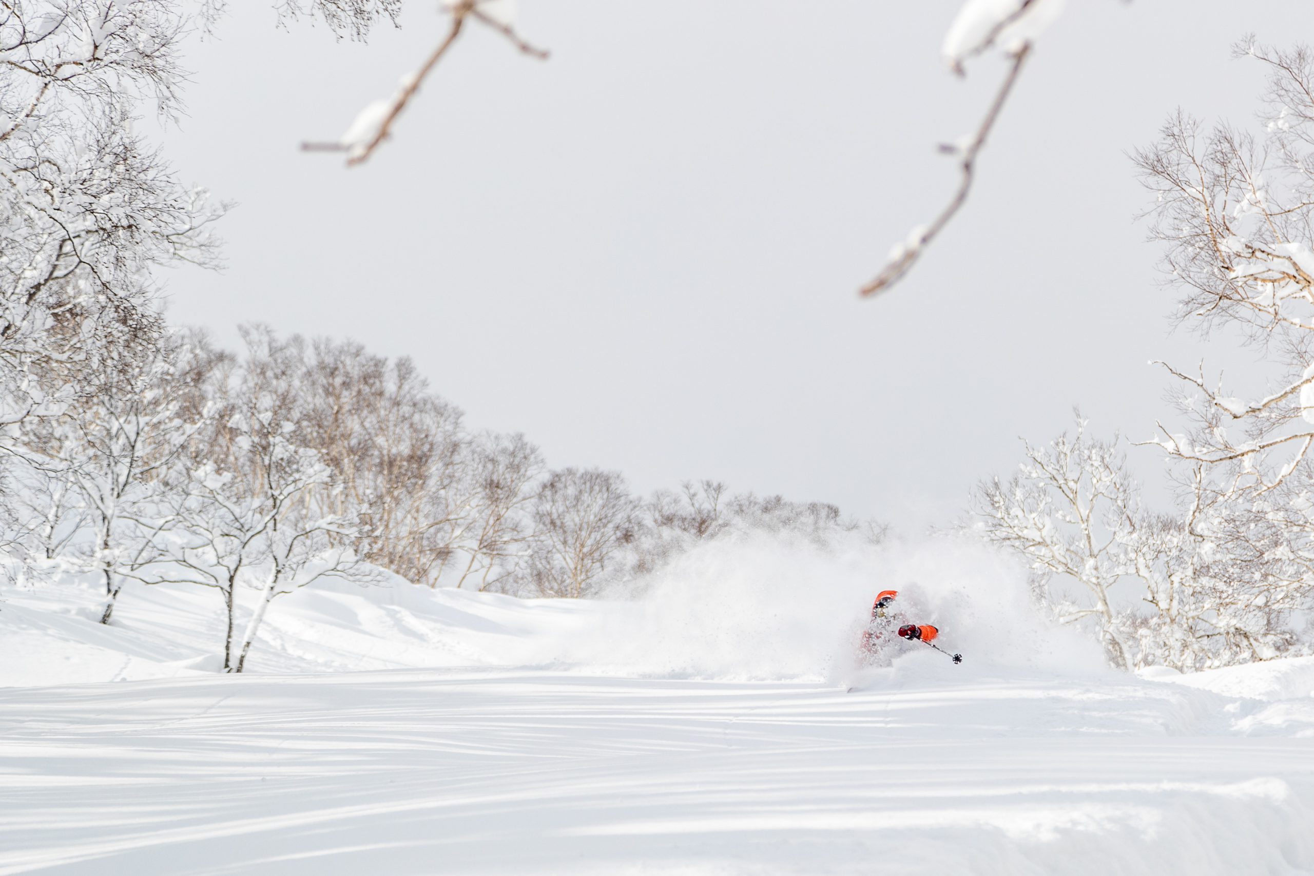 Alex Koens smashing some serious powder snow during the winter of 2020/2021