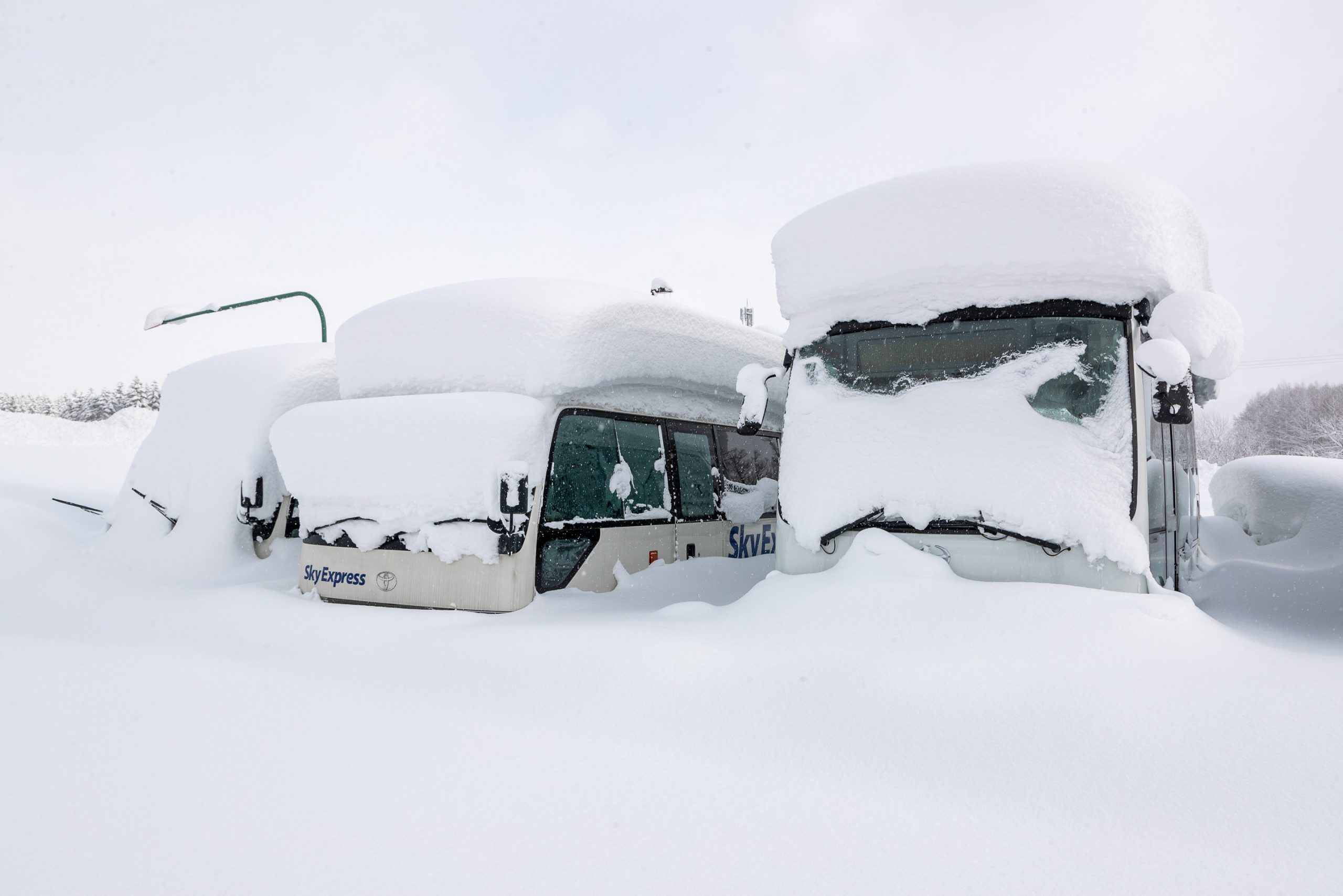 Many cars and properties fell victim to the snow this winter