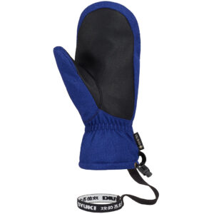 Icho GTX Mitt