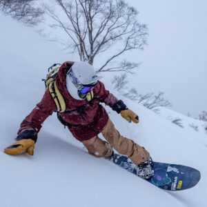 Arashi GTX Mitt