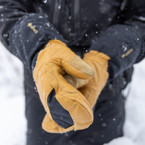 Arashi GTX Mitt