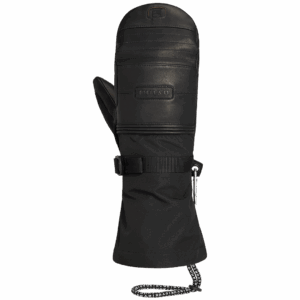 Arashi Guide Gore-Tex Mittens