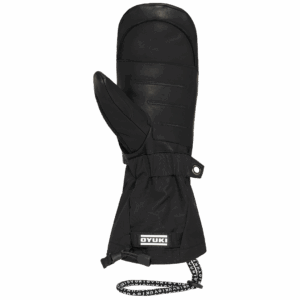 Arashi Guide Gore-Tex Mittens