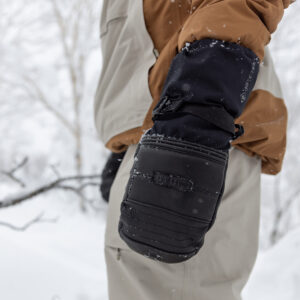 Arashi Guide Gore-Tex Mittens